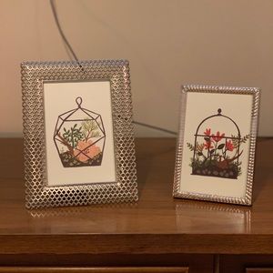 $5️⃣for$2️⃣5️⃣ Terrarium art prints